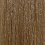 CE838