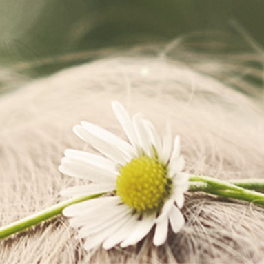 Тріхологічні програми догляду за шкірою голови